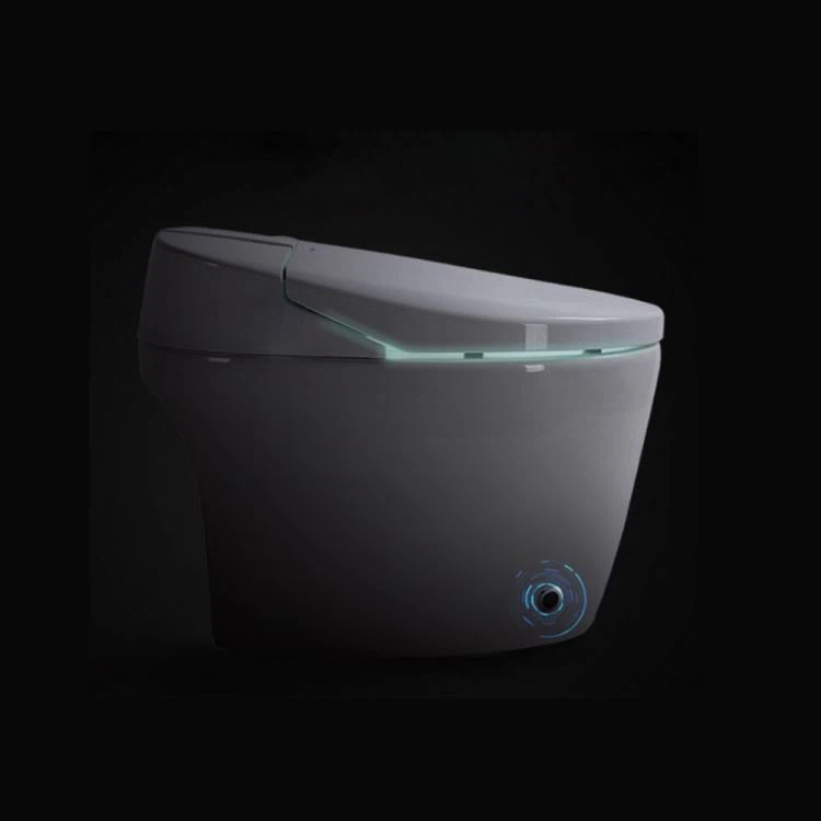 Smart Toilet Bidet