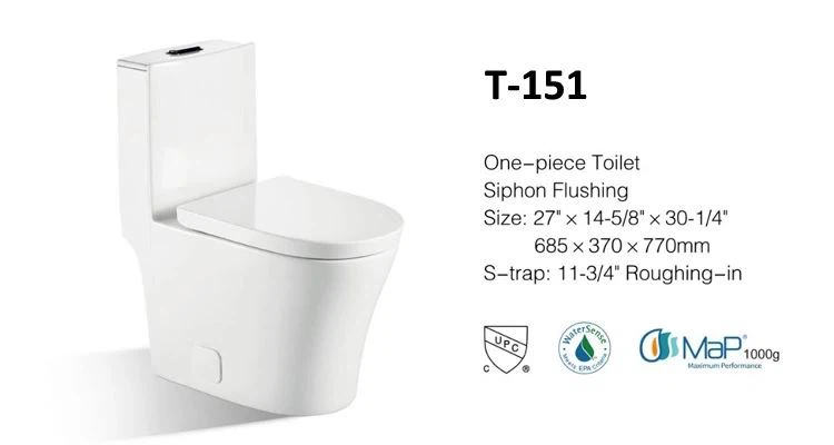 one-piece toilet.webp