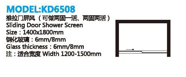 Double Panel Sliding Glass Shower Door
