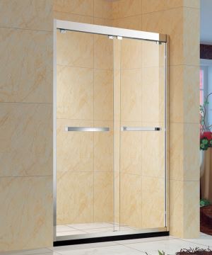 2 Sliding Frameless Bypass Shower Door