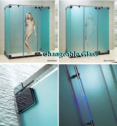 Frameless Hinged Changeable New Glass Shower Doors