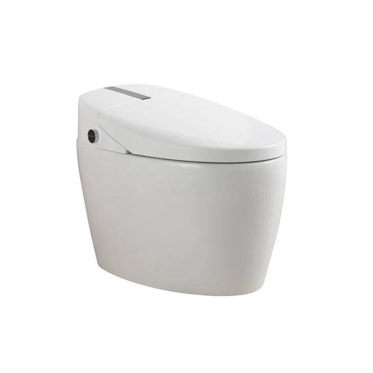 Intelligent Toilet