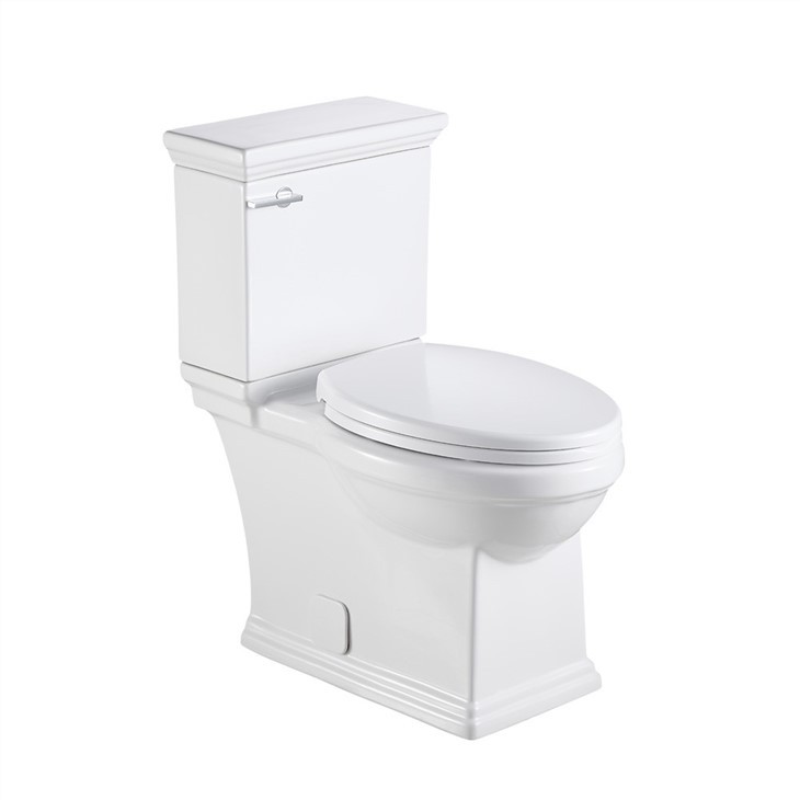 Best Flushing Toilet