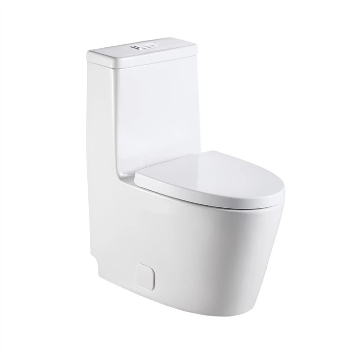 best inexpensive toilet