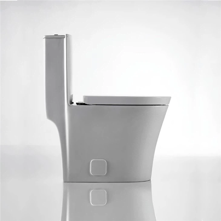 best dual flush toilet