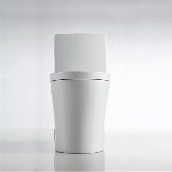 dual flush toilet which