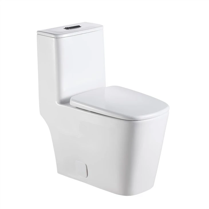 One-piece floor-to-ceiling toilet