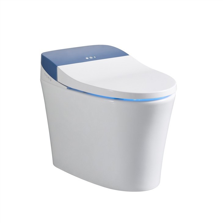 Floor-standing siphon electric toilet