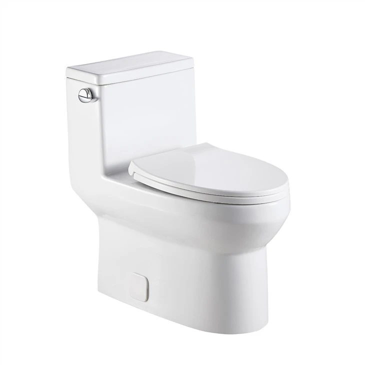Best power flush toilet of 2021