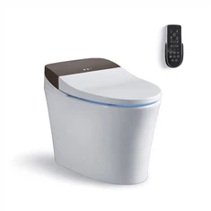 Best Smart Toilet