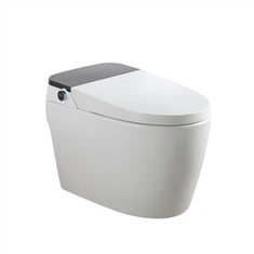 Floor Mounted Intelligent Toilet