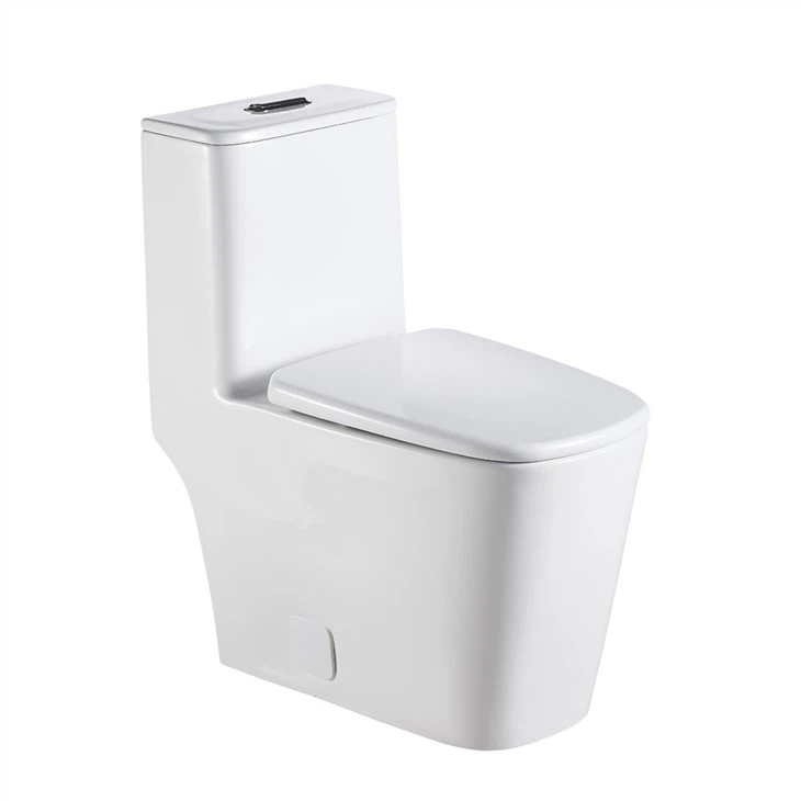 Soft close seat toilet