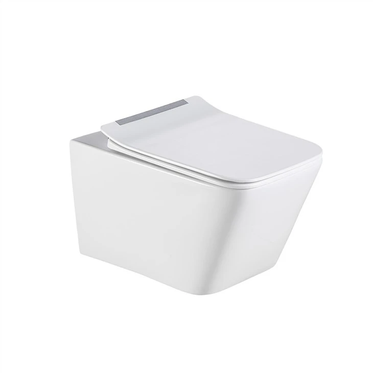 wall mounted wc
