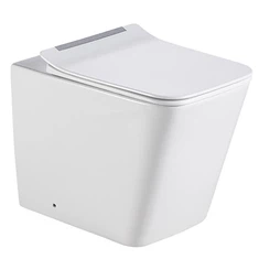 Wall Hung Commode