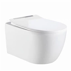 Wall Mounted Commode
