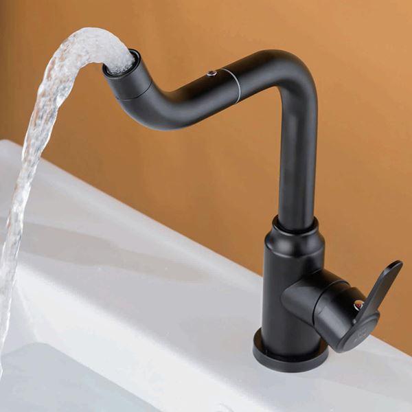 Black Rotatable Faucet